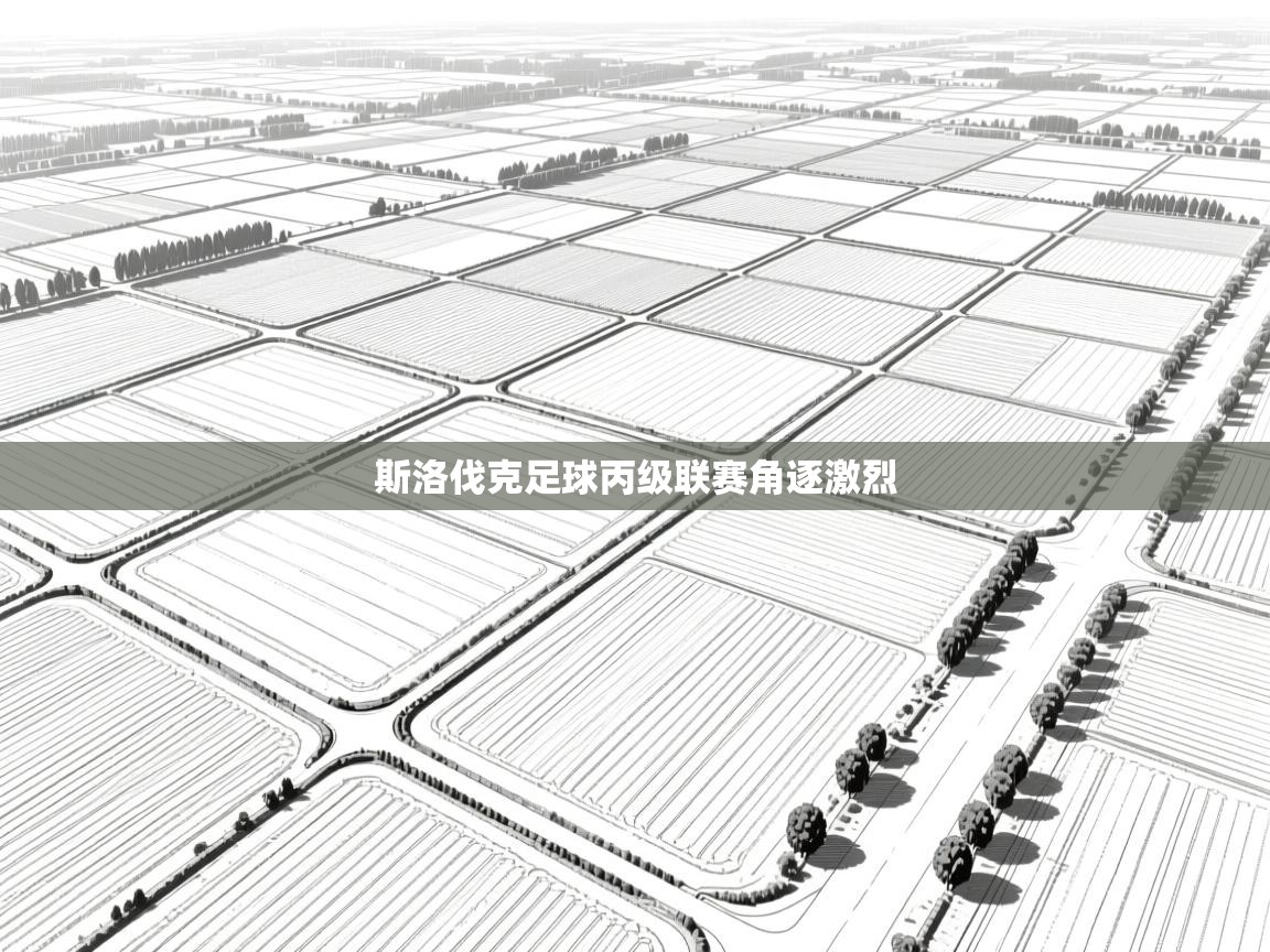 斯洛伐克足球丙级联赛角逐激烈