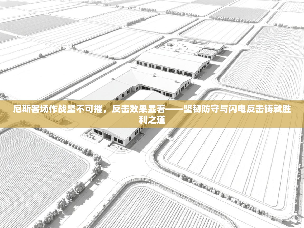 尼斯客场作战坚不可摧，反击效果显著——坚韧防守与闪电反击铸就胜利之道